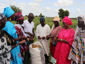 securite-alimentaire-plus-de-260-000-personnes-touchees-par-le-programme-de-resilience-en-2023