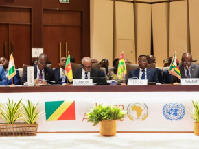 Afforestation et reboisement : le Togo réaffirme son engagement