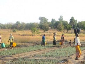 Togo : le gouvernement crée l’Agence Education-Développement pour stimuler la formation dans le secteur agricole