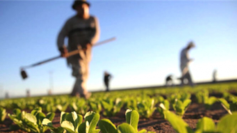 Le Togo élabore la carte de fertilité de ses sols agricoles