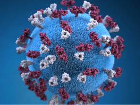 Une épidémie de rougeole signalée dans le Yoto