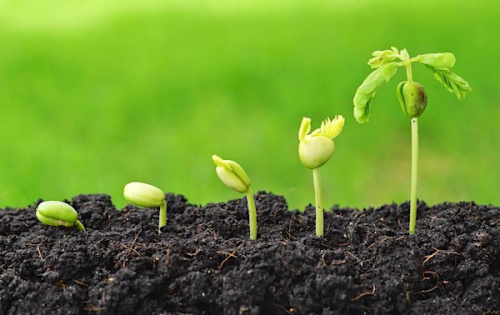 Conf&eacute;rence d&eacute;bat sur l&rsquo;agriculture en marge du Forum Togo-UE : r&eacute;servez votre participation avant le 07 juin