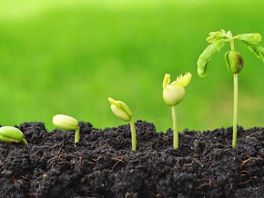 Conférence débat sur l’agriculture en marge du Forum Togo-UE : réservez votre participation avant le 07 juin