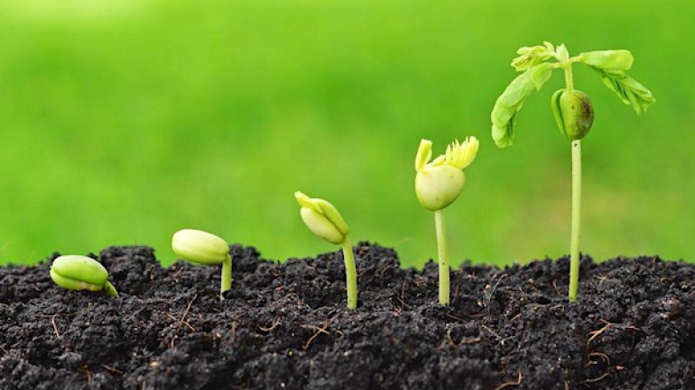 Conférence débat sur l’agriculture en marge du Forum Togo-UE : réservez votre participation avant le 07 juin