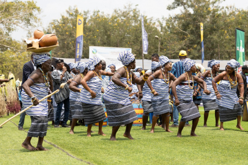 Fêtes traditionnelles : le peuple Ewé a célébré Agbogboza