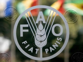 Le Togo bénéficie d’un accompagnement de la FAO pour l’amélioration de la sécurité alimentaire dans la région des Savanes