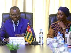 Togo : la BAD participera au développement de l’agrobusiness pour 7,47 milliards de Fcfa