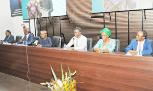 Santé : les hématologues francophones en conclave à Lomé