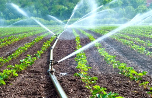 5000 agriculteurs bénéficieront de systèmes d’irrigation solaire