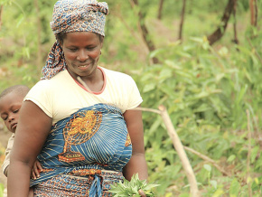 PPAAO-TOGO : 95% d’exécution, 600 000 bénéficiaires et un fort impact sur le secteur agricole