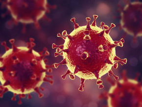 Coronavirus : le Togo enregistre son premier décès