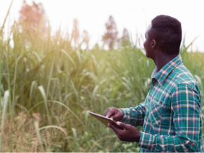 Le gouvernement lance un programme de formation agricole en ligne