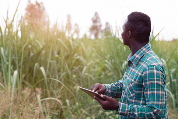 Le gouvernement lance un programme de formation agricole en ligne