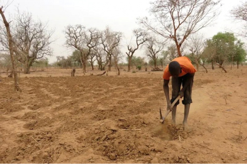 Le Togo obtient un appui du Fonds pour l’environnement mondial pour lutter contre la dégradation des terres