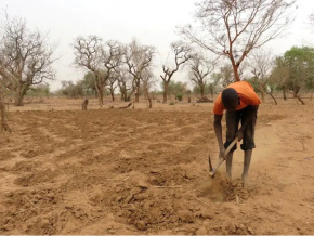Le Togo obtient un appui du Fonds pour l’environnement mondial pour lutter contre la dégradation des terres