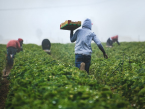 agriculture-l-itra-lance-des-formations-thematiques-pour-les-jeunes