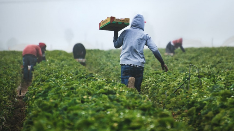agriculture-l-itra-lance-des-formations-thematiques-pour-les-jeunes