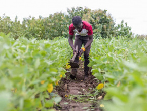 Crédits, infrastructures, terres…, ces grandes réalisations agricoles dans la Kara