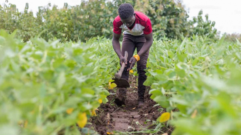 Crédits, infrastructures, terres…, ces grandes réalisations agricoles dans la Kara