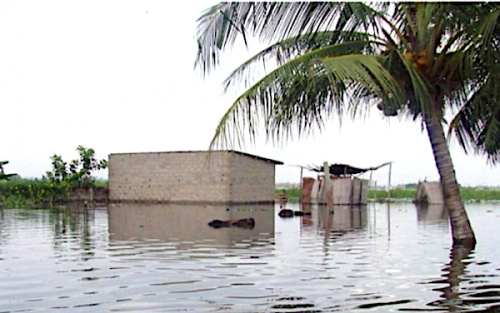 Risque de pluies diluviennes : le gouvernement invite à la prudence