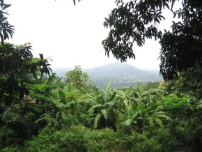 A Lomé, les acteurs du secteur de l’environnement évaluent la version 1 de la Stratégie REDD+