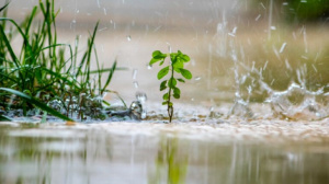 Inondations : des actions d&#039;évacuation envisagées