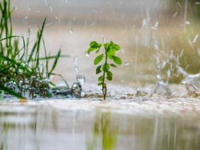 Inondations : des actions d&#039;évacuation envisagées