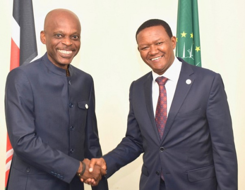 Investissement, tourisme, commerce : le Togo et le Kenya explorent leur coopération