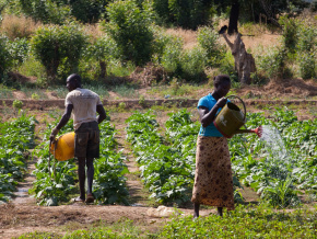 Engrais : la Banque mondiale et l’OCP scellent un partenariat en faveur du Togo et trois autres pays