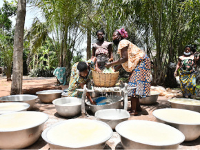 Le Pnud investira 50 millions FCFA pour la transformation du manioc dans les Lacs