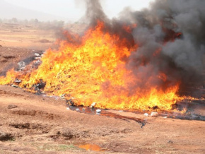 Savanes : une nouvelle cargaison de boissons frelat&eacute;es d&eacute;truite