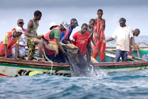 Le nouveau Port de pêche sera opérationnel en février