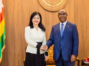 Diplomatie : ballet de personnalités à l’Assemblée nationale