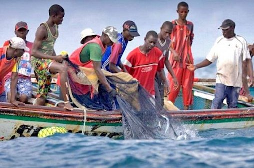 La production halieutique sur le Nangbéto a quintuplé en 07 ans, fruit d’une meilleure gestion des pêcheries