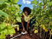 Lomé accueille le Marché des innovations et technologies agricoles à partir du 21 octobre