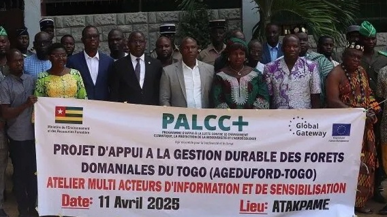 environnement-un-plan-de-gestion-durable-des-forets-domaniales-en-gestation