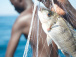 peche-artisanale-6-6-millions-kg-de-poissons-captures-en-2022-en-hausse-de-50