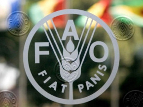 La FAO célèbre ses 40 ans de présence au Togo