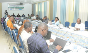 Bassin de la Volta : &agrave; Lom&eacute;, les experts &eacute;valuent le capital environnemental