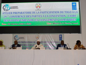 COP29 : le Togo prépare sa participation