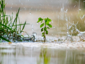 Pluies diluviennes : la Protection Civile déploie les premières mesures