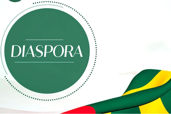 Un guichet unique pour renforcer la contribution de la diaspora