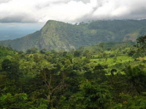 environnement-le-togo-se-dote-d-un-centre-de-semences-forestieres