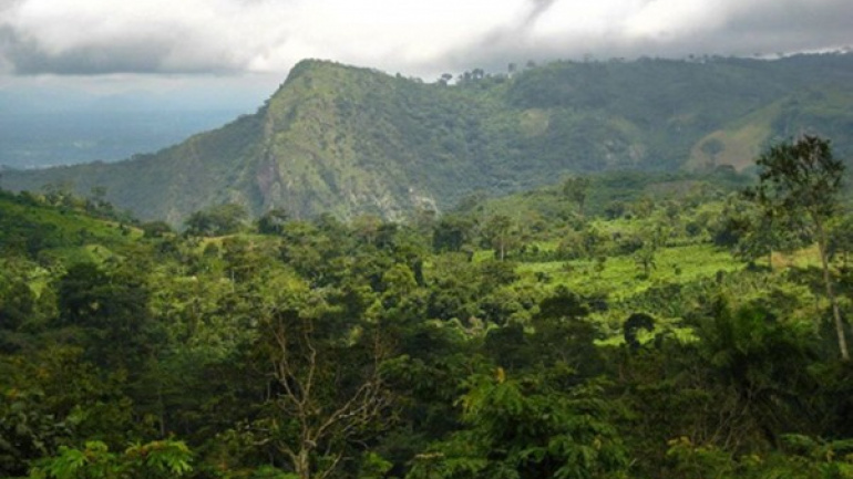 environnement-le-togo-se-dote-d-un-centre-de-semences-forestieres