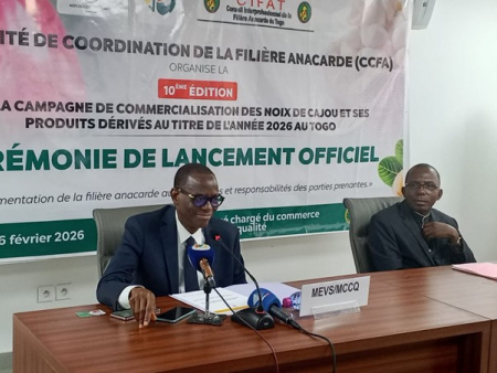 D&eacute;but de la campagne de commercialisation de la noix de cajou