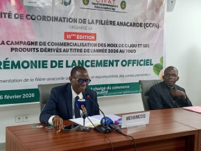 D&eacute;but de la campagne de commercialisation de la noix de cajou