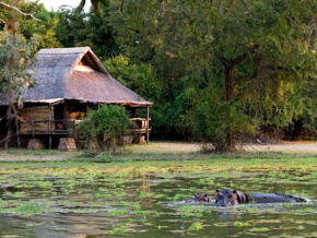 Le tourisme domestique et de proximité, une solution face au Covid-19