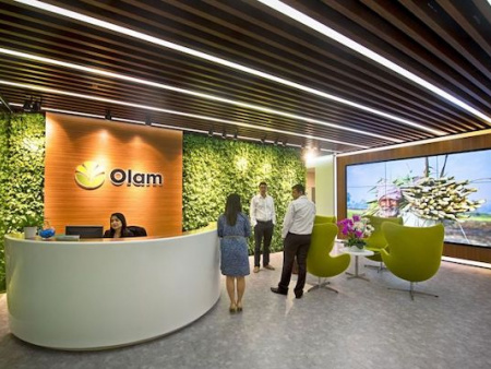 La Nouvelle société cotonnière du Togo entre dans le giron d’Olam
