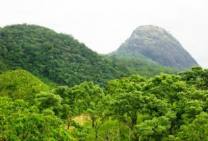 Biodiversité : le Togo prépare son 7ème rapport national