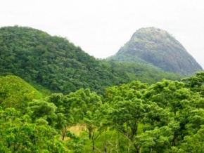 biodiversite-le-togo-prepare-son-7eme-rapport-national